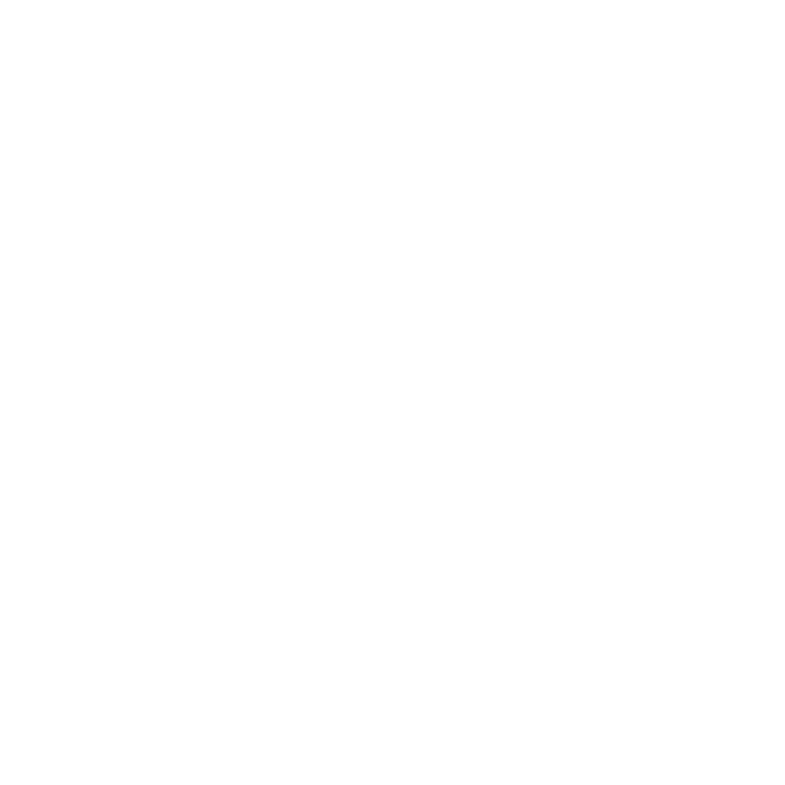 Edvu Shoes logosu