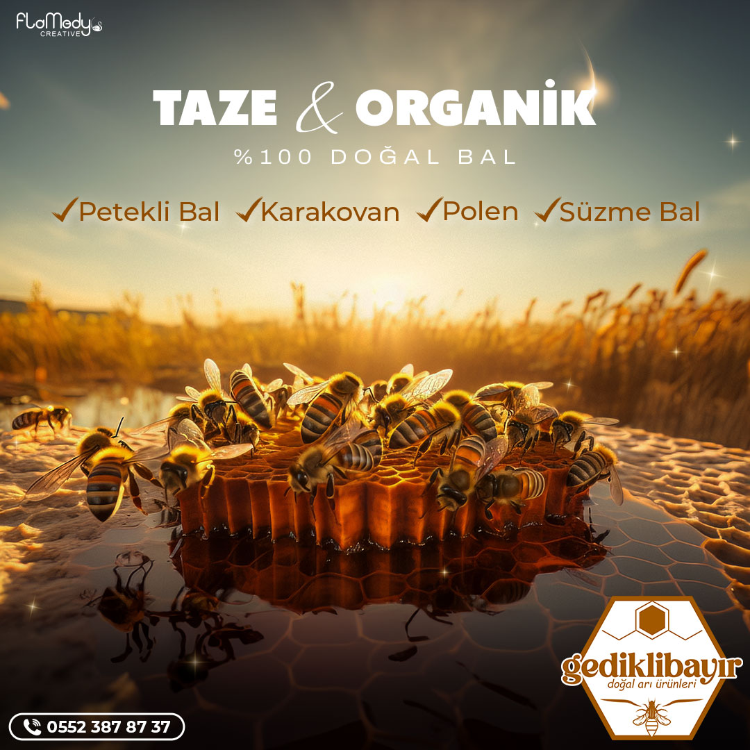 Taze ve organik sosyal medya çalışması